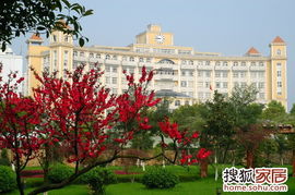 武昌职业学院美景