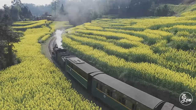 《鬼灭无限城篇》再创日本影史奇迹！