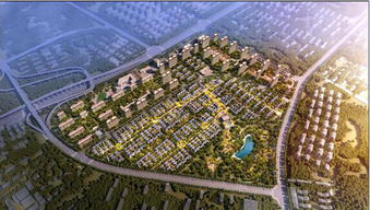 泰禾中国院子鸟瞰图