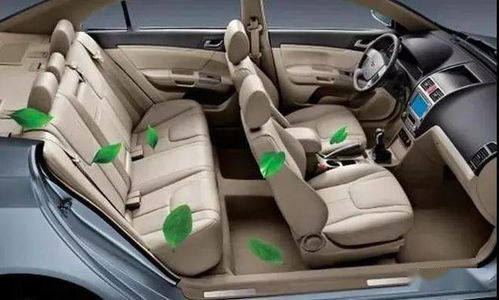 印度一家出游，瘫痪老父被绑车内险丧命，烈日下几近脱水