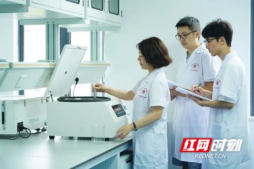 科研人员在实验室工作