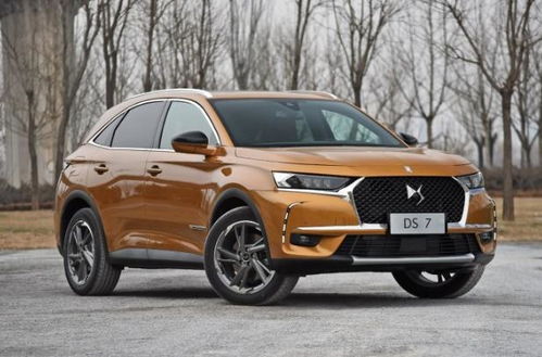 旧国标电动自行车