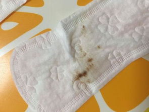 卫生巾上不同的经血量