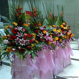 迪丽热巴给刘宇宁送上超大花篮，两人关系引猜测！