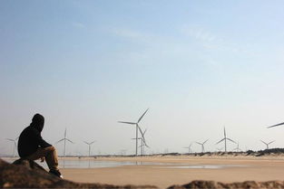 藏北草原上众多风车伫立