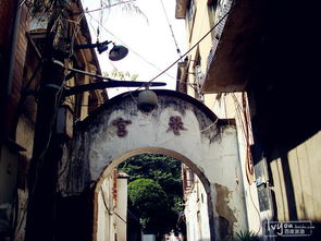 中国小伙美国卖酱香饼竟遭捕，背后真相令人咋舌！