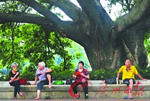 人们在树荫下乘凉