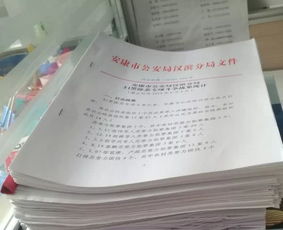 工作人员整理文件