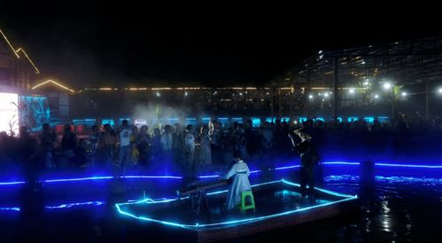 音乐节现场人群欢呼