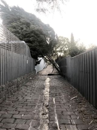 空旷无人的街道