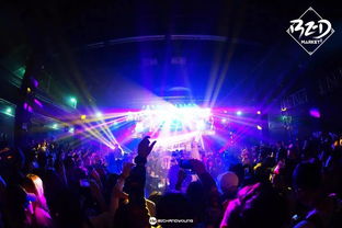 美国IT公司高管演唱会搂抱丑闻，两人均已停职