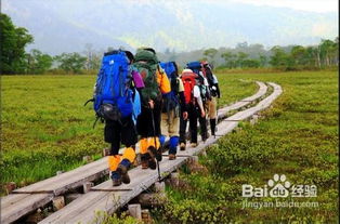 暴走团群主回应：徒步团并非故意阻碍消防救护车通行