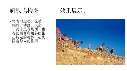 活动精彩瞬间截图