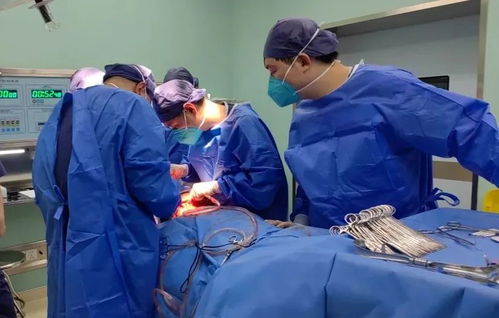 《外伤重症中心》剧照