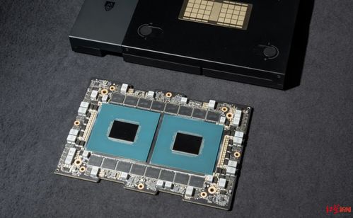 英伟达损失千亿，国产替代能否接棒？