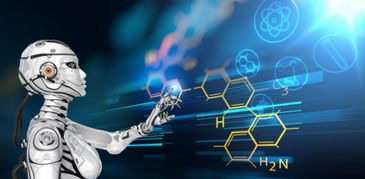 机器人客服的回应截图