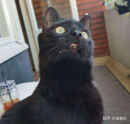 惊天反转！女朋友怀孕却非自己孩子，背后真相令人咋舌