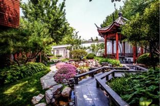 泰禾中国院子庭院实景图