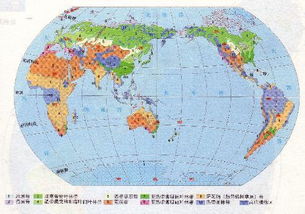 广东佛山基孔肯雅热疫情最新进展！