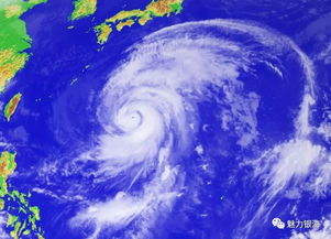 台风‘韦帕’肆虐，中东部高温缓解！