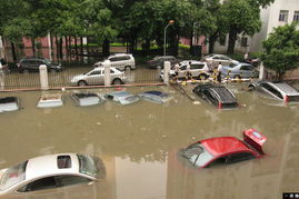 三预警齐发！这些地区的小伙伴们出行要注意啦