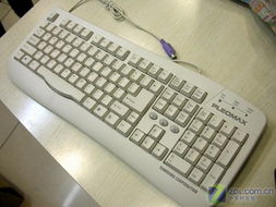 186元键盘遭嘲讽？直男们眼中的‘电子垃圾’竟是独特存在