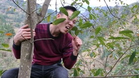 40岁‘彩铃顶流’歌手欢子回应隐身10年之谜