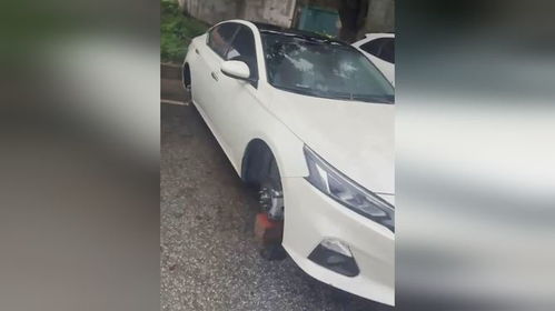 震惊！零公里二手车背后的惊人真相大揭秘