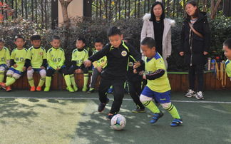 苏超第七轮：最新积分榜大揭秘！