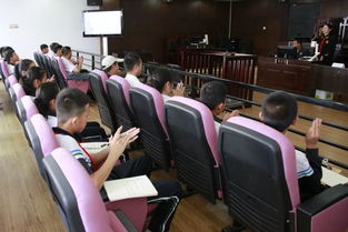 法庭将再次审视这个案件