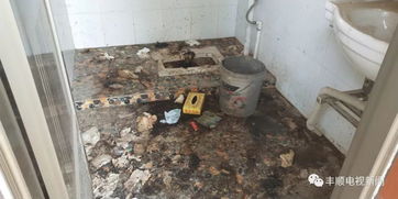 紧闭大门的公厕与臭气熏天的旱厕