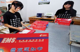 工作人员整理录取通知书场景