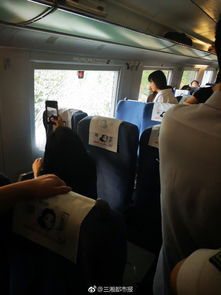 12306回应高铁无一次性座椅套售卖，背后真相令人深思