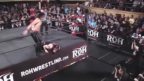 观众们兴奋地挥舞着手臂