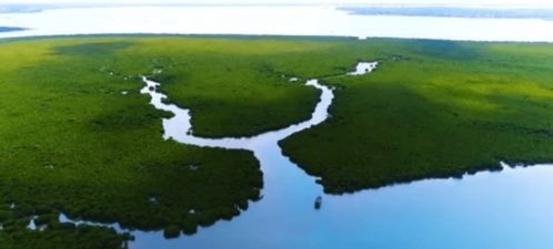 海洋中各种生物和谐共生