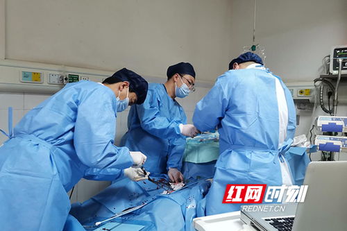 医护人员紧张地救治热射病患者