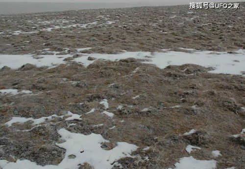 恒河惊现400斤漂浮神石，印度民众虔诚膜拜