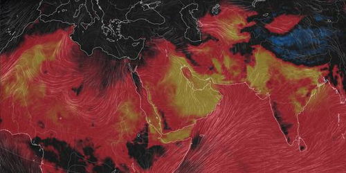 英法等25国联合声明点名以色列，背后有何玄机？