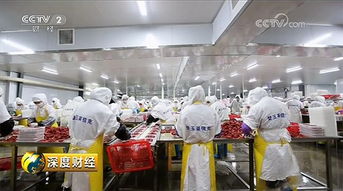 蜜雪冰城上市之路：从街边小店到千亿帝国的秘密