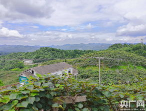 被贵州山水惊艳，探寻中国式现代化文旅融合之美