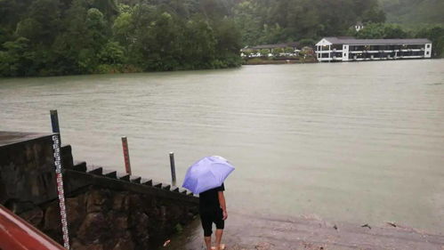 闷热潮湿的街道