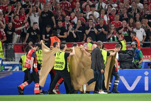 直击浙BA：浙江篮球盛宴背后的火热激情