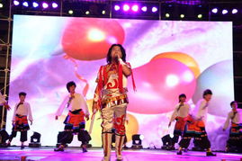 粉丝们在演唱会现场热情欢呼