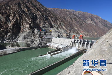 水电站生态保护场景