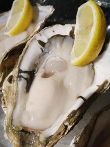 台风过后遍地生蚝？专家提醒：小心食用风险！