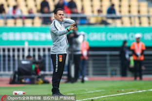 球迷辱骂韦世豪事件引发多方关注，理性观赛何时回归？