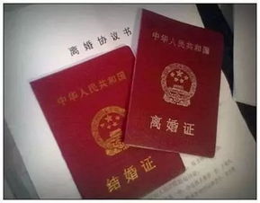 民政局回应新人领错离婚证，背后真相令人咋舌