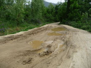 自驾出游遇险，母子被洪水卷走，家属发声令人心痛