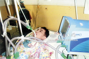 郑钦文因伤退赛美网，专注术后恢复