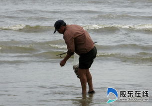 市民们开心捡拾生蚝